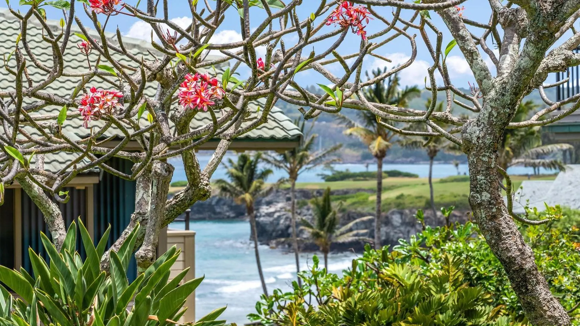 Kapalua Bay Villas 20G4 卡哈纳 0*,  美国